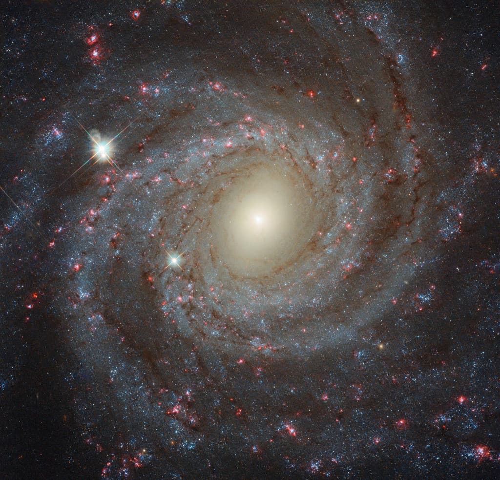 Gökbilim ve Astronomi